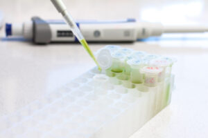 Laboratory technician pipetting samples into a rack of bulk filter pipette tips in a sterile workspace. Represents DNase/RNase-free consumables supplied by Kelabscience.