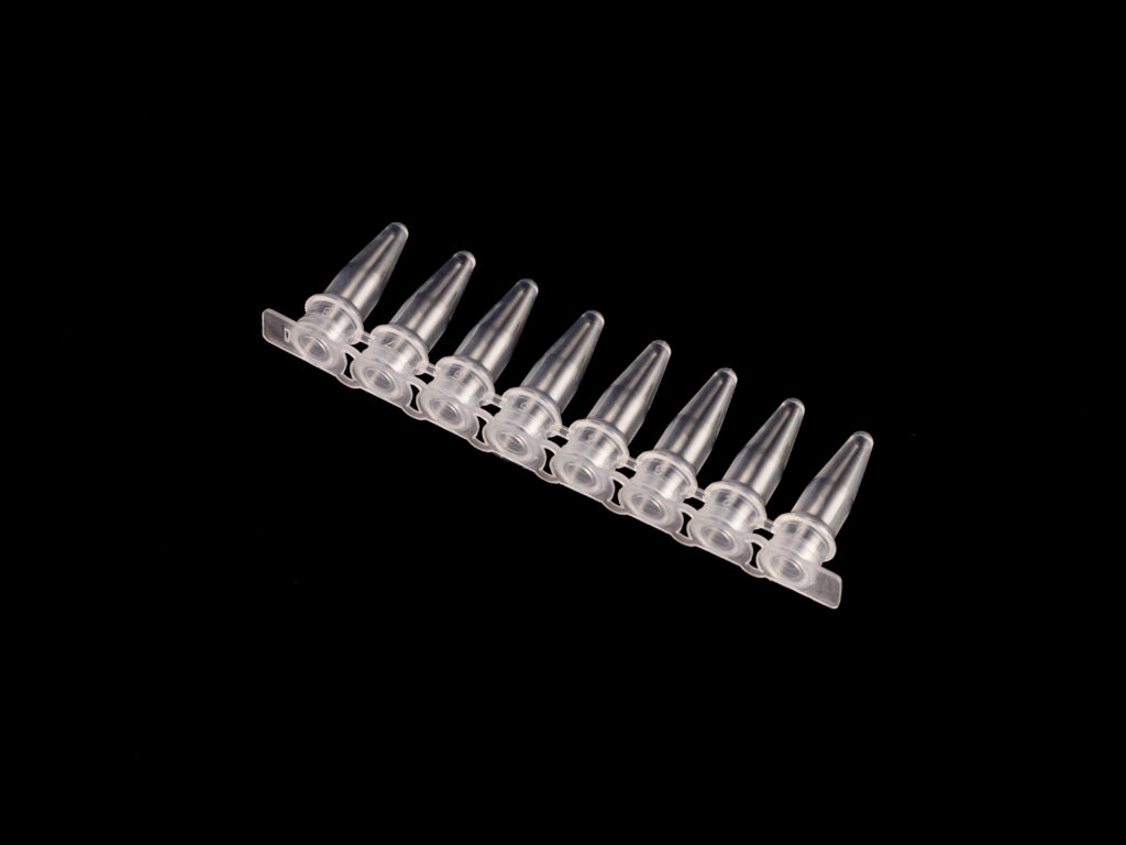 Kelabscience 0.2ml 8-Strip PCR Tubes with Flat Caps Attached, Front View