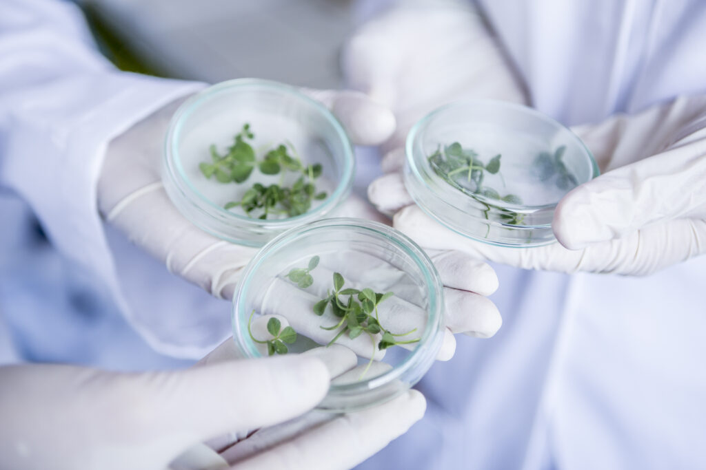 scientists in lab holding germs in petri dishes