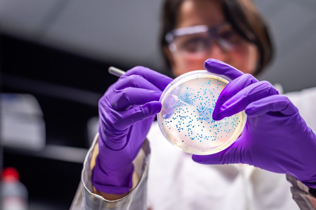 lady scientist performing bacteria colony examinat 2022 10 31 23 47 53 utc