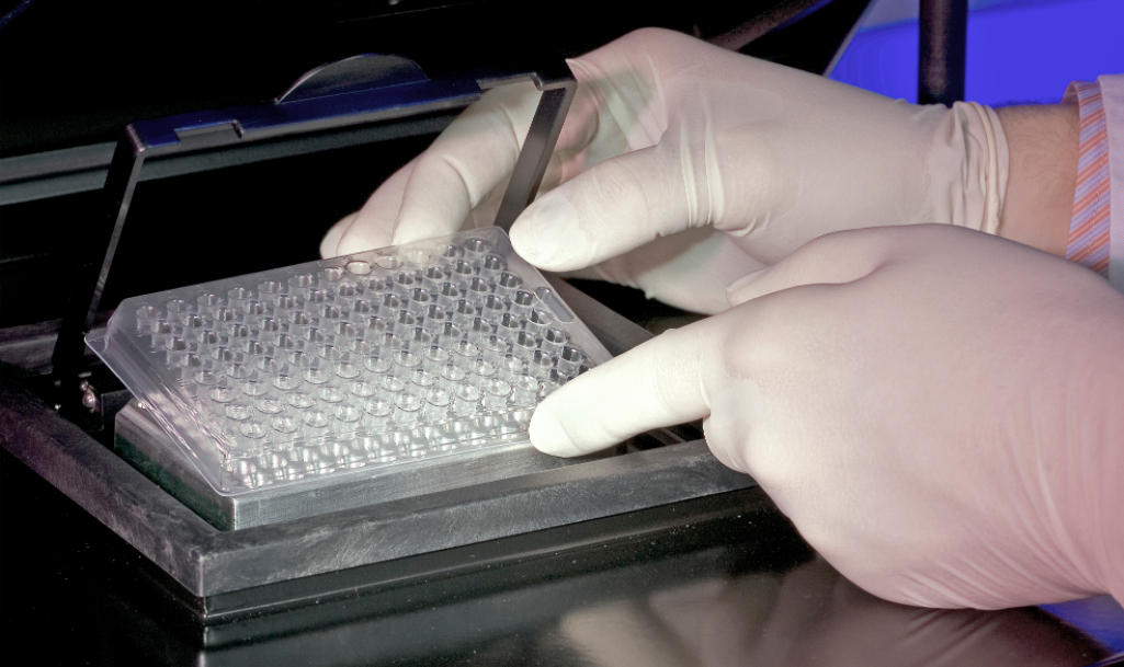 Scientist placing a sealed 96-well plate into a real-time PCR analyzer for fluorescence detection in a molecular biology workflow.
