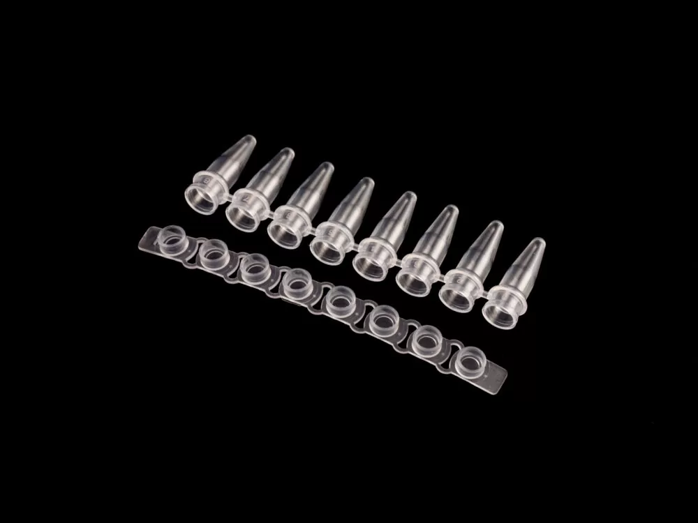 Eight-strip 0.2 mL PCR tubes with flat caps, clear polypropylene construction, suitable for high-throughput PCR workflows.