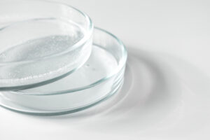 Petri dishes arranged for routine laboratory use