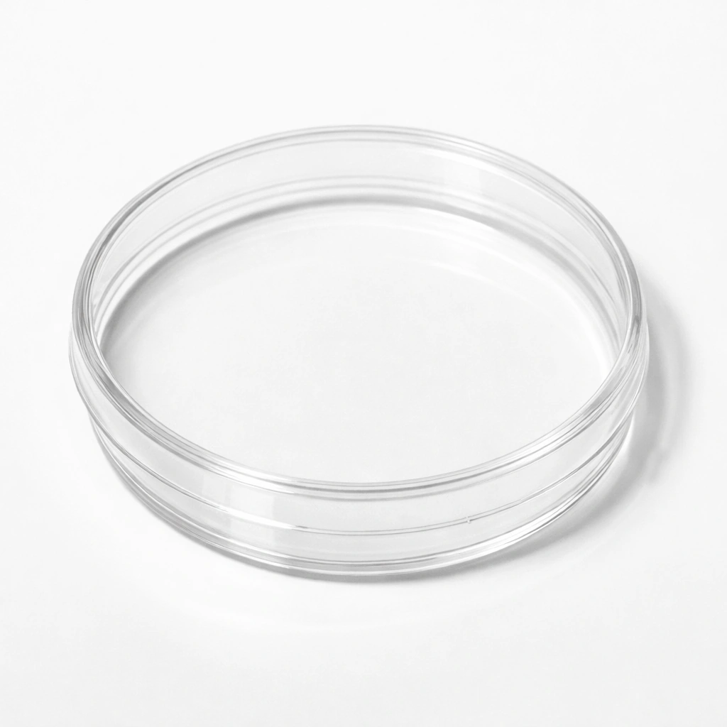 plastic petri dish used in laboratory culture work