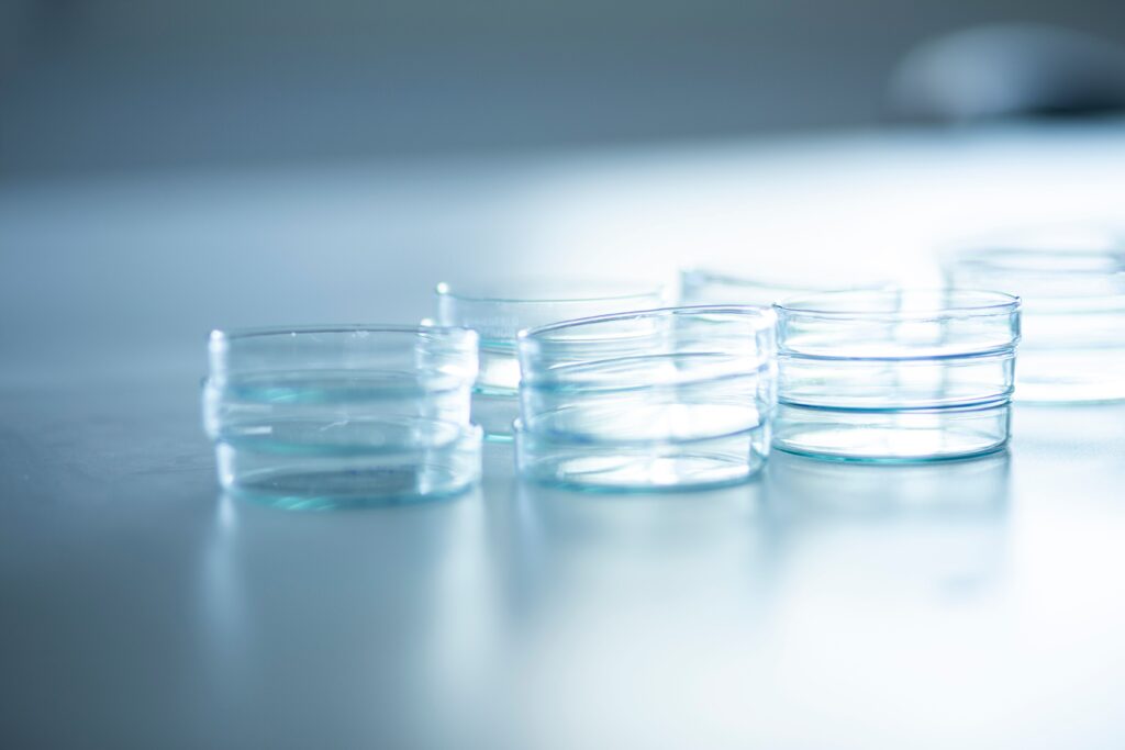 Stacked Petri dishes on a laboratory bench during routine daily use