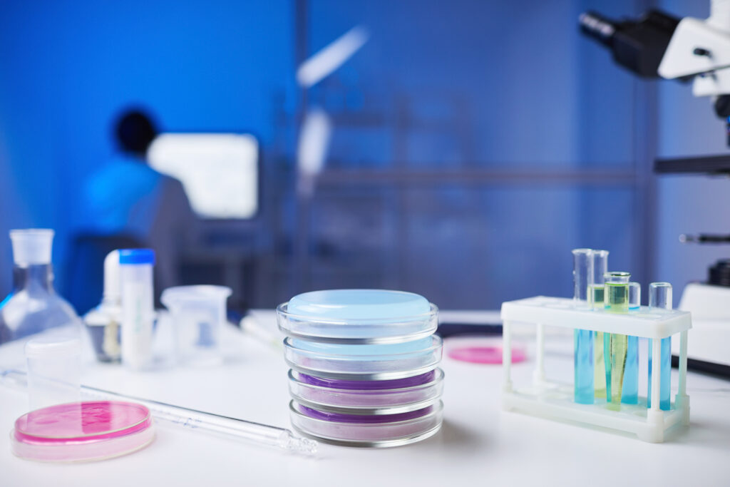 Petri dishes arranged within a routine laboratory workflow