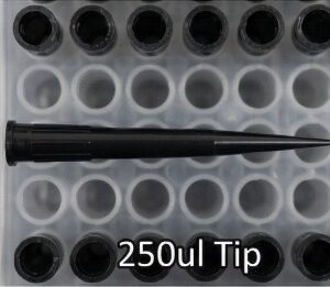 250 µL conductive pipette tip placed on pipette tip rack