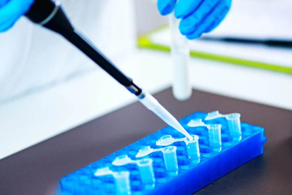 pipetting liquid into tubes in laboratory PCR workflow setup