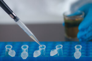 Pipetting reaction mixture into PCR strip tubes during a laboratory PCR setup