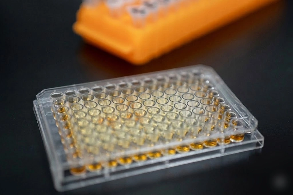 PCR plate showing edge effect with increased evaporation in outer wells compared to center wells