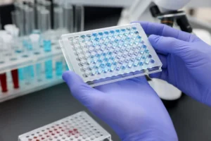 PCR plate showing variability across wells during laboratory observation